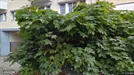 Kontor att hyra, Vänersborg, &lt;span class=&quot;blurred street&quot; onclick=&quot;ProcessAdRequest(521670)&quot;&gt;&lt;span class=&quot;hint&quot;&gt;Se gatunamn&lt;/span&gt;[xxxxxxxxxx]&lt;/span&gt;