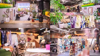 SPACE TO HIRE NOW AVAILABLE